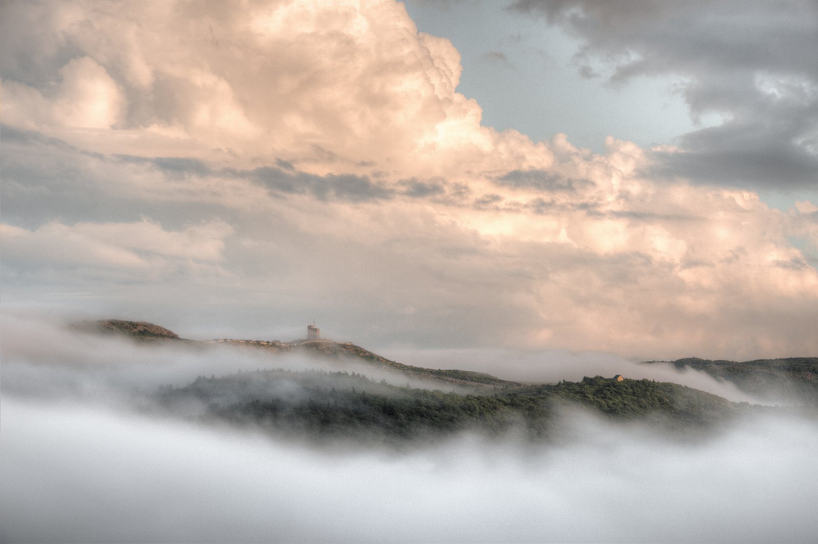 Fog & Mist