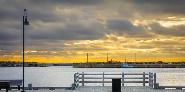 Bonavista art