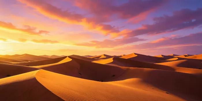 Amber Dunes
