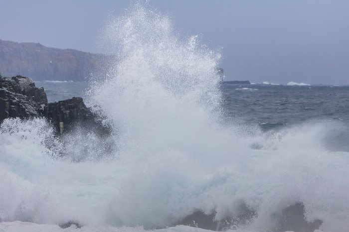 Middle Cove Burst - Newfoundland art print