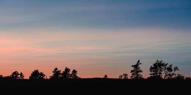 Park Sillhouette - Newfoundland art print