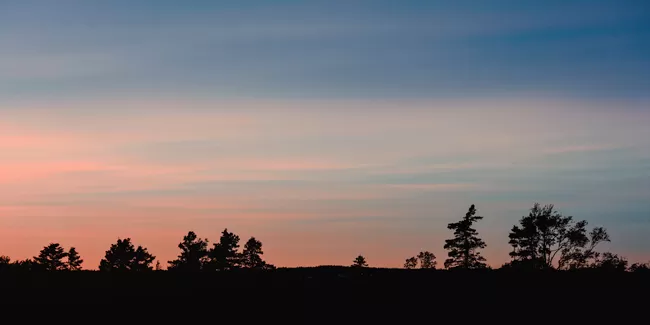 Park Sillhouette