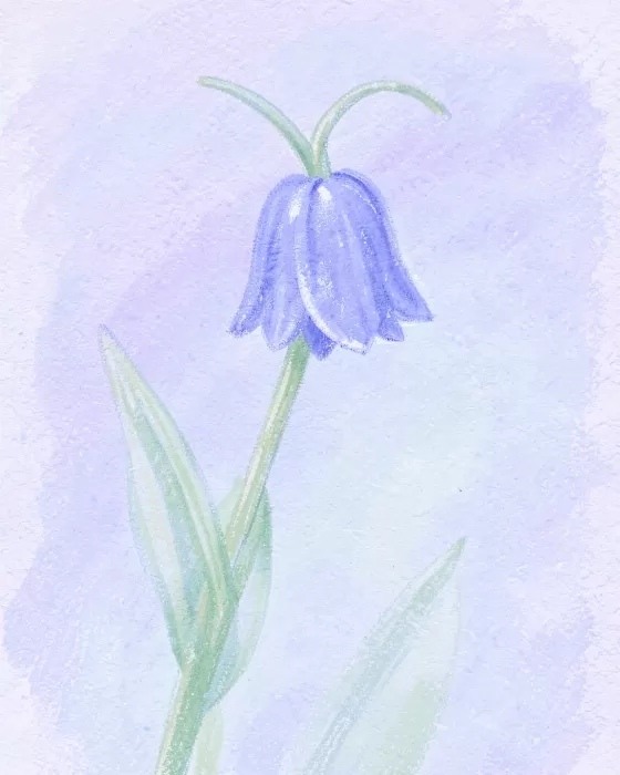 Pastel Stem