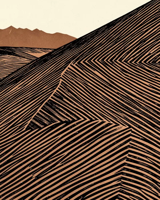 Mesquite Lines