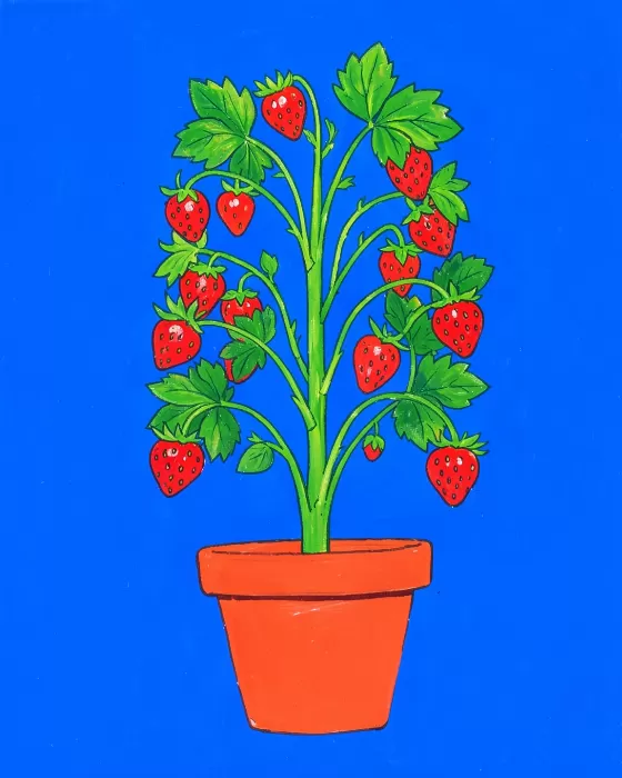 Strawberry Tower