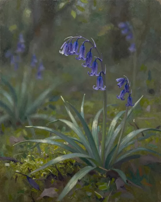 Woodland Bells