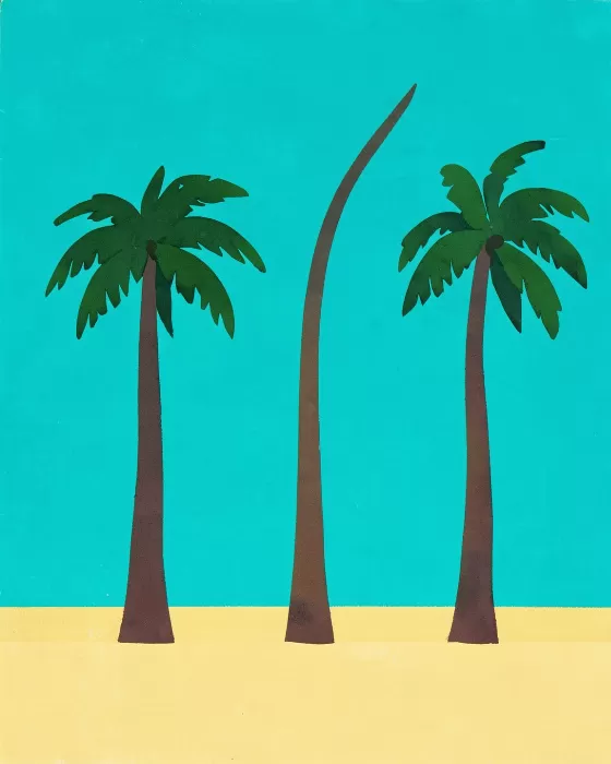 Tropic Shore