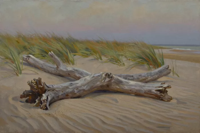 Twisted Driftwood