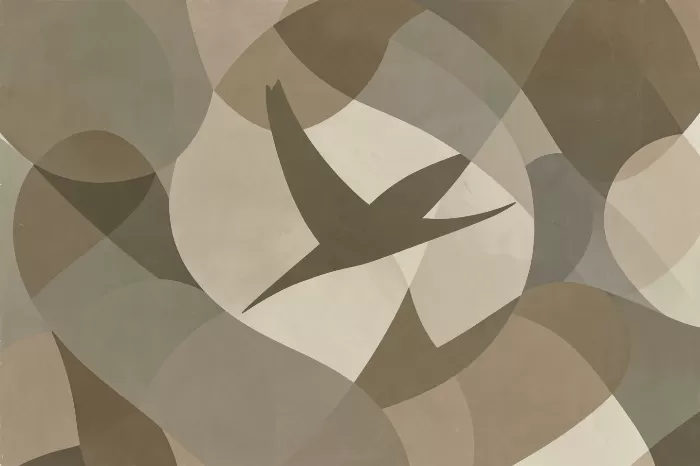 Swallow Arc