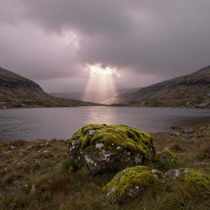 Mossy Tarn