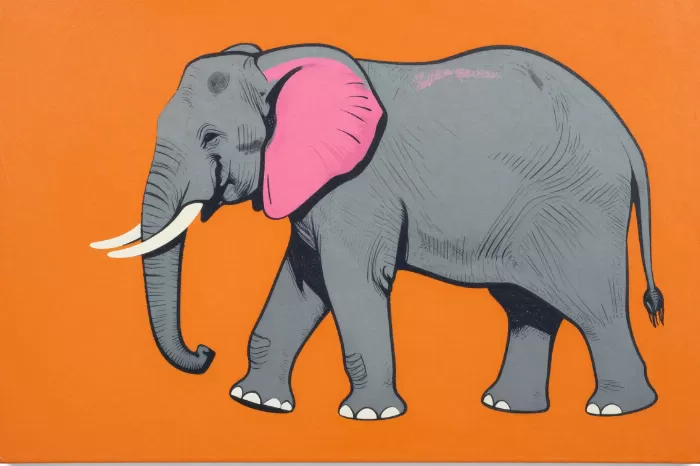 Pink Ear