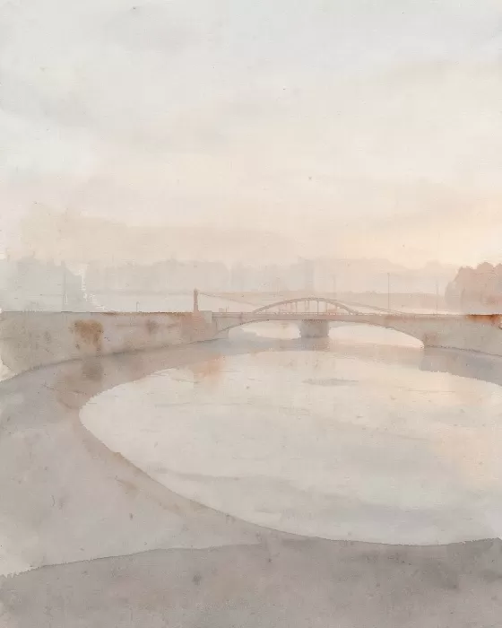 Seine Mist