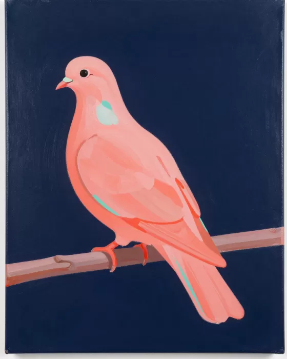 Coral Dove