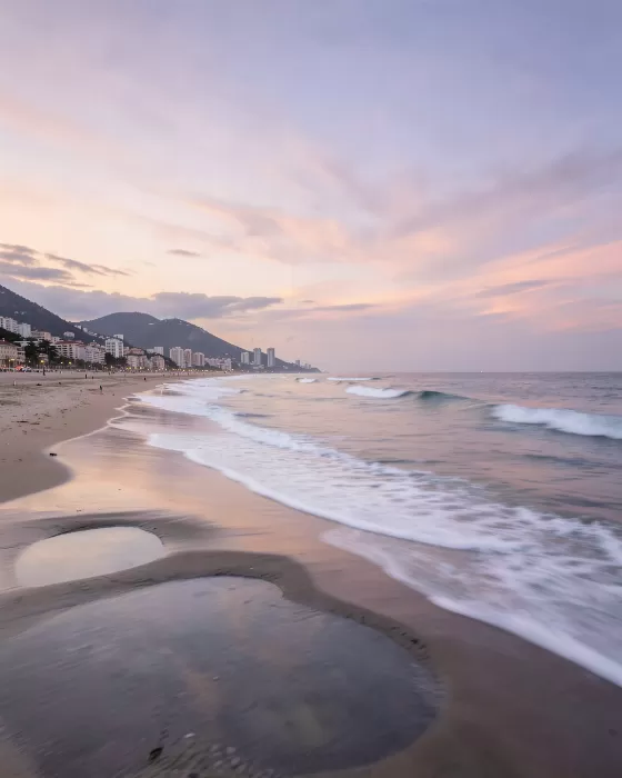 Lavender Surf