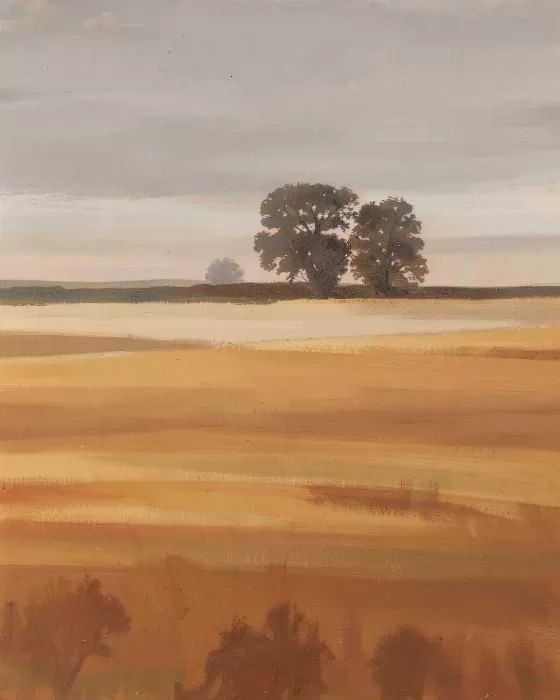 Amber Bands
