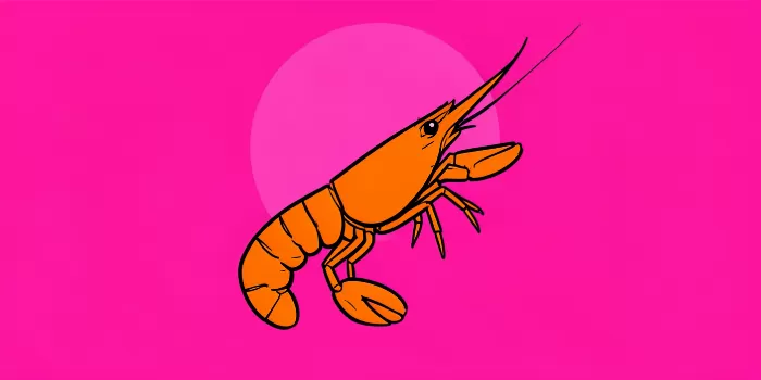 Lobster Pop
