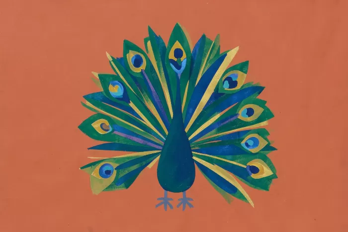Peacock Bloom
