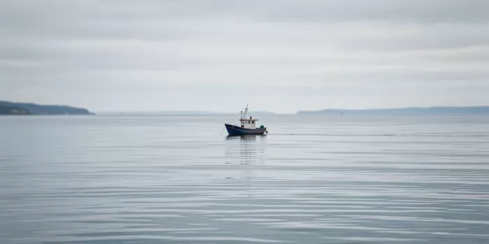 Solitary Hull