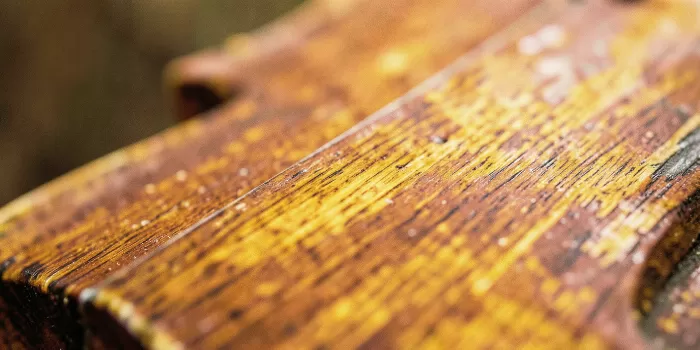 Aged Spruce