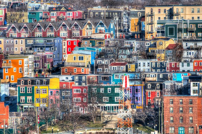 Jellybean Jigsaw - Newfoundland art print