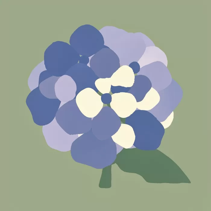 Sage Hydrangea