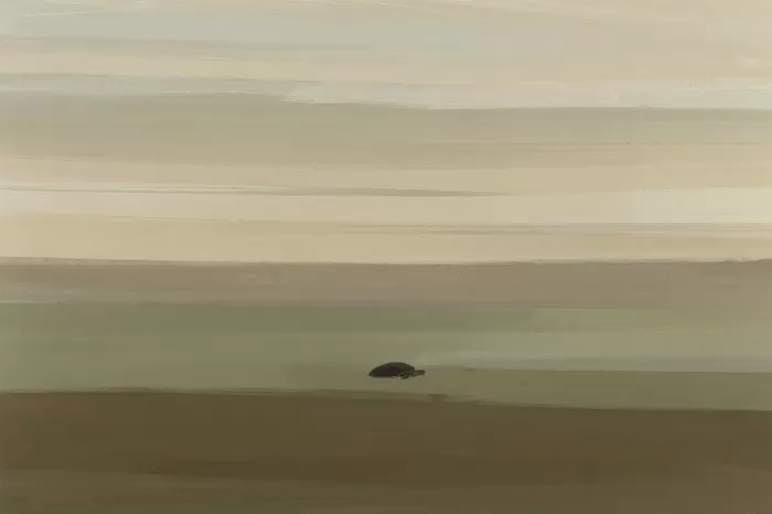 Turtle Horizon