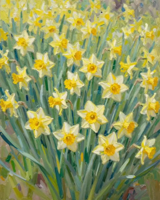 Daffodil Border