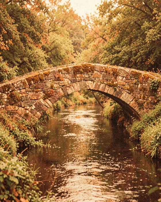Rustic River
