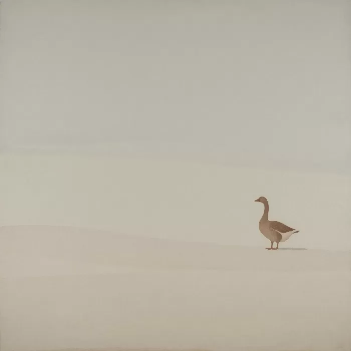 Quiet Goose