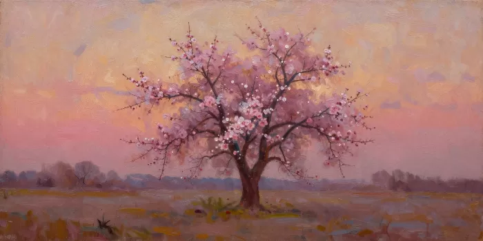 Plum Dawn