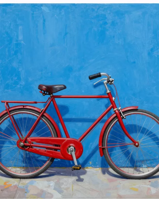 Crimson Bicycle
