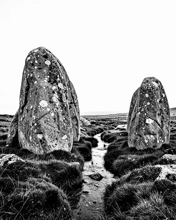 Moor Stones