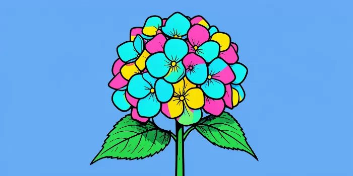 Turquoise Hydrangea