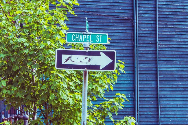 Chapel Street - Newfoundland art print
