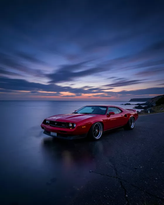 Coastal Muscle
