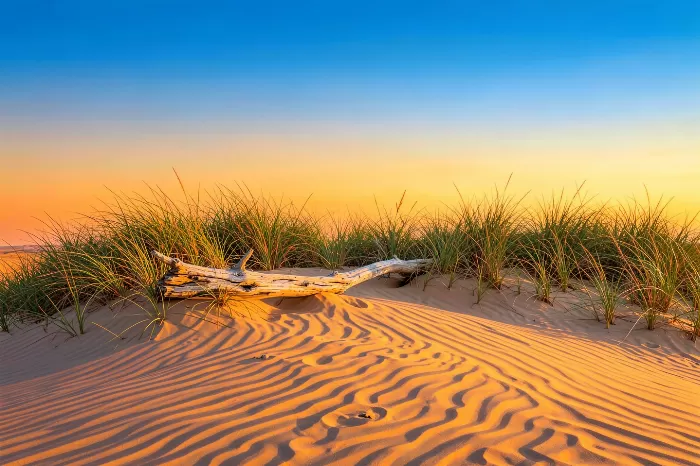 Golden Dune