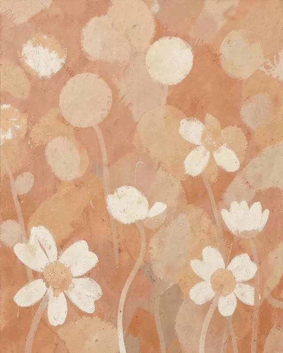 Daisy Field