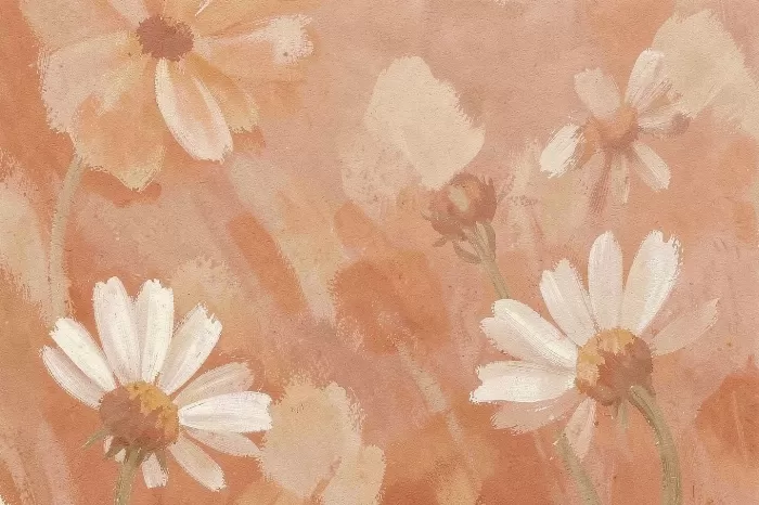 Sand Daisy