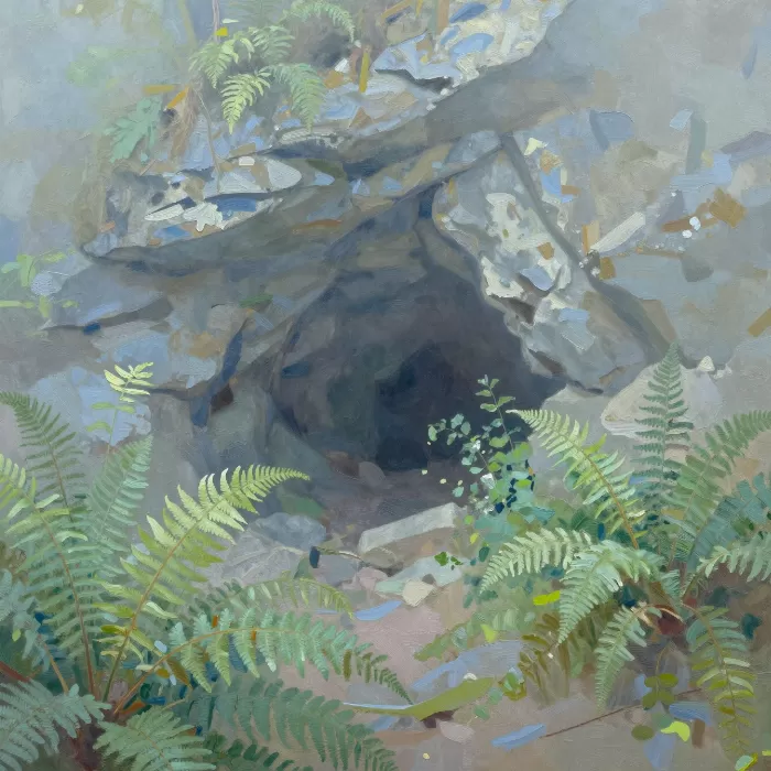 Misty Cave