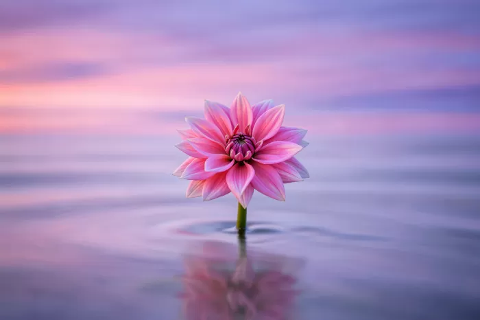Silk Pool