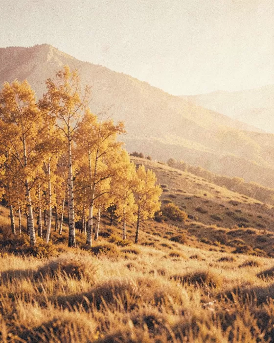 Aspen Ridge