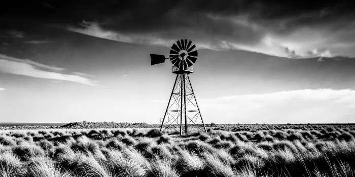 Sandhills Sentry