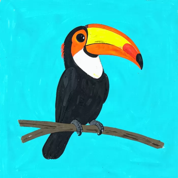 Toucan Bright