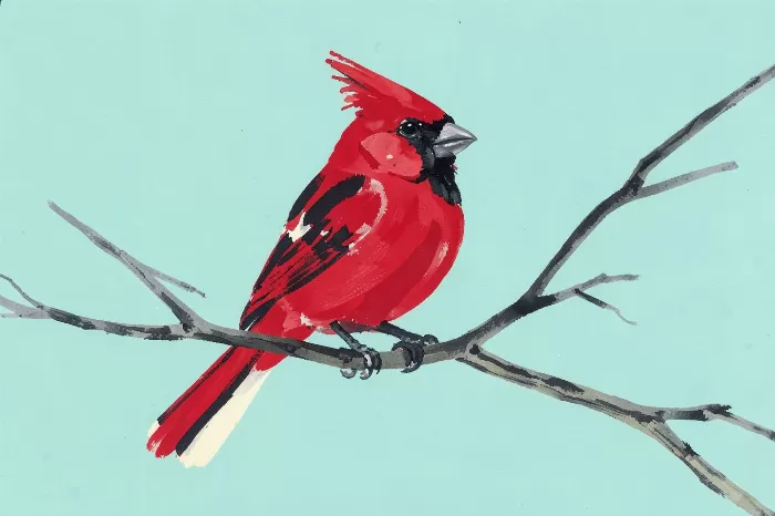 Winter Crest