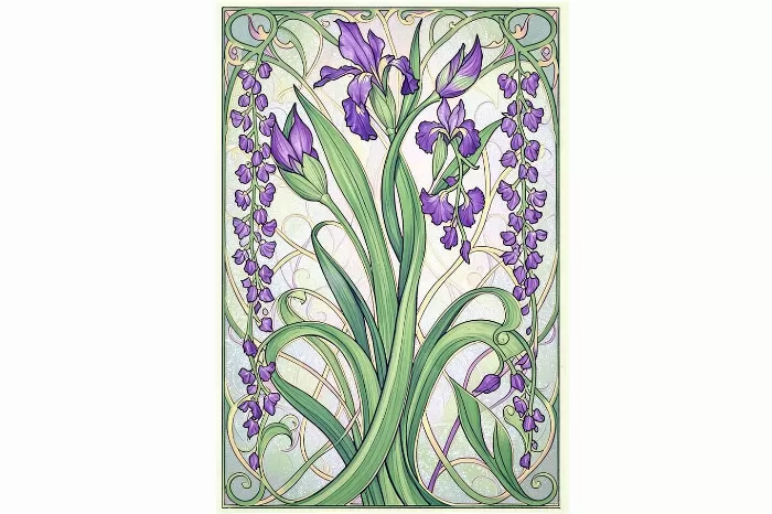 Iris Wisteria