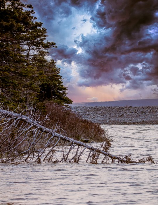 Storms Ahead - Newfoundland art print