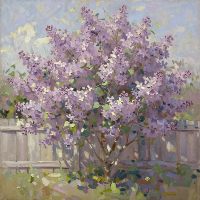 Lilac Light