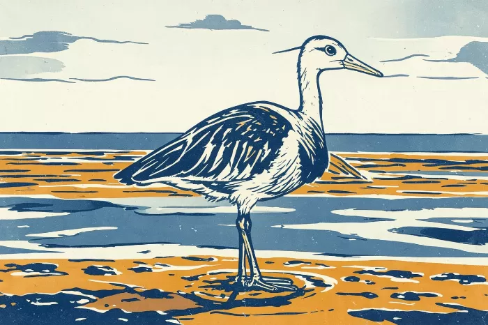 Curlew At Low Tide