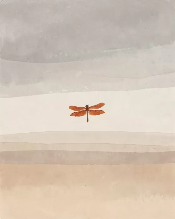 Dragonfly Drift