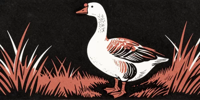 Standing Goose